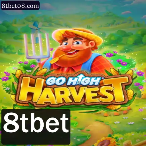Descubra o Universo de GoHighHarvest: Novidades e Regras Fundamentais